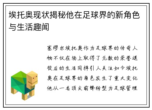 埃托奥现状揭秘他在足球界的新角色与生活趣闻